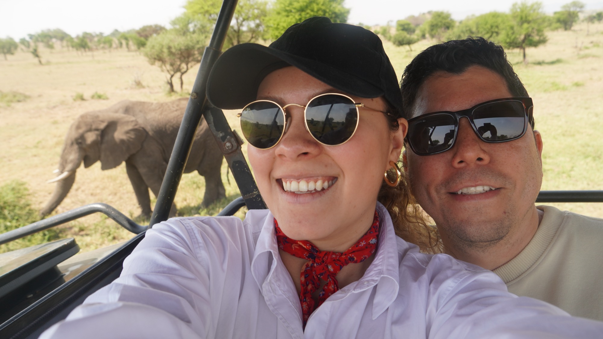 Pareja observando elefantes en safari